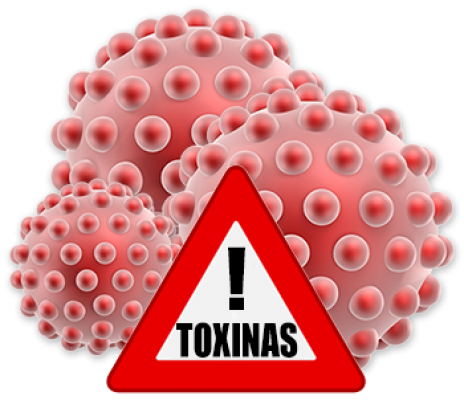 toxinas.png